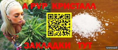 PSILOCYBIN Кимры